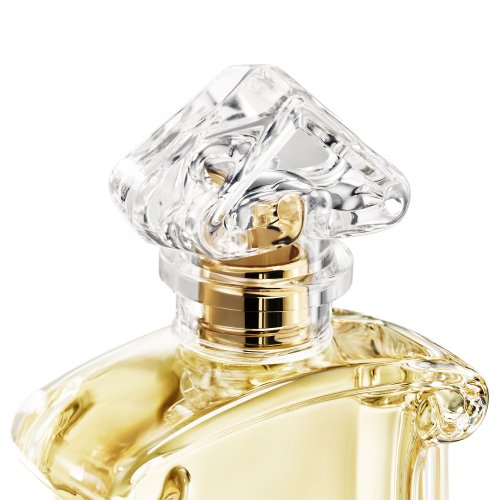 GUERLAIN  3346470131867
